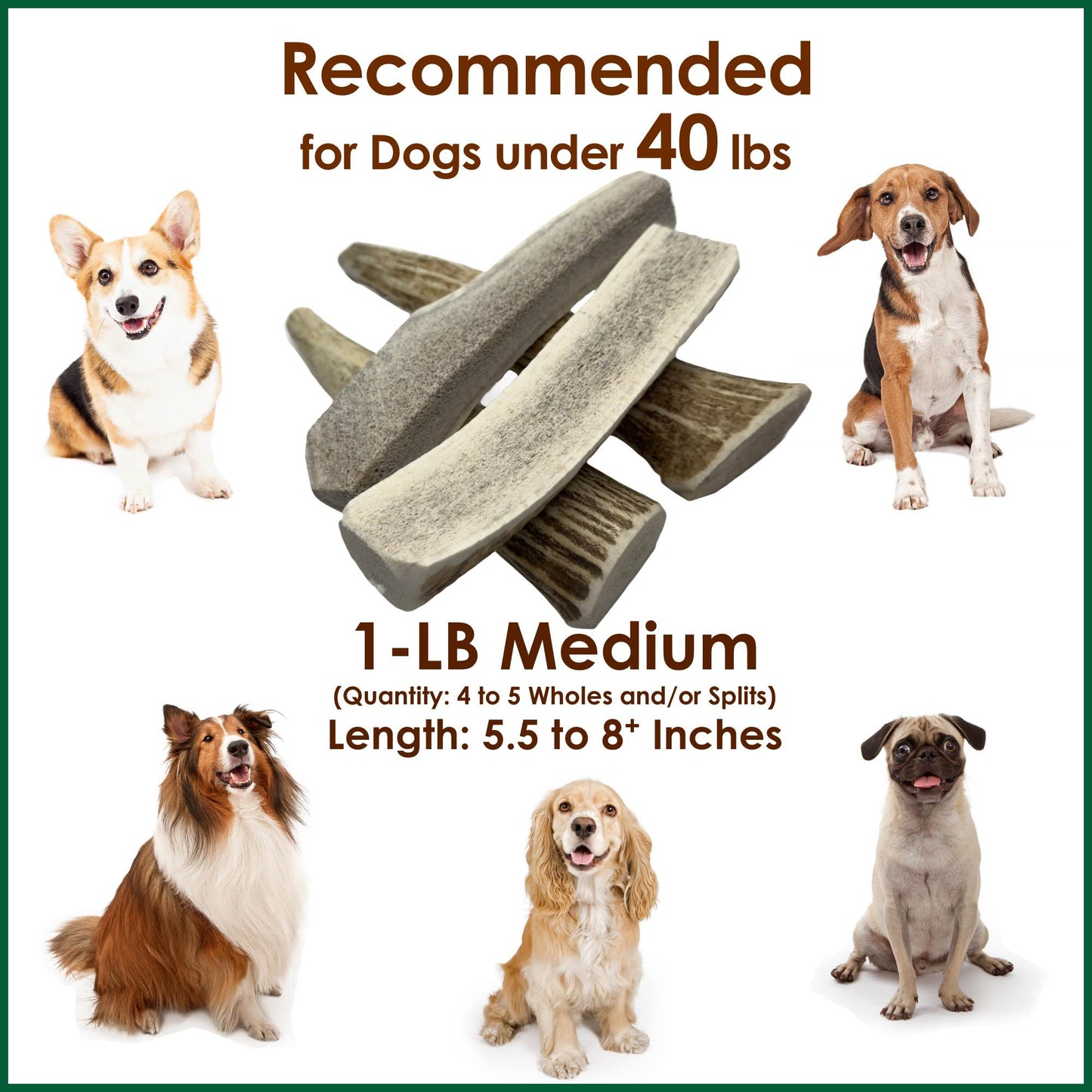 Deluxe Naturals 1-LB Pack Medium Elk Antler Dog Chews