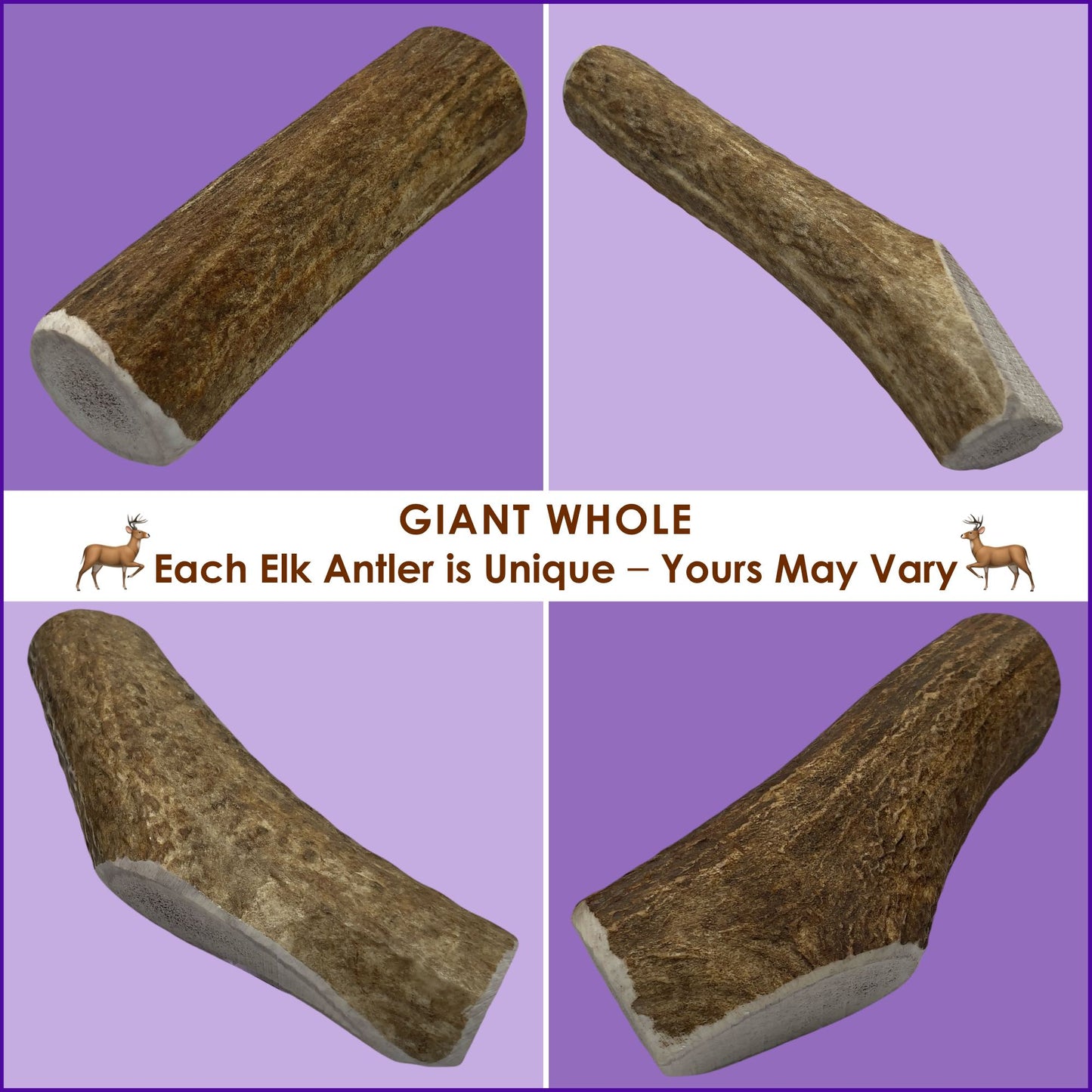 Deluxe Naturals Elk Antler Dog Chew - Giant Whole