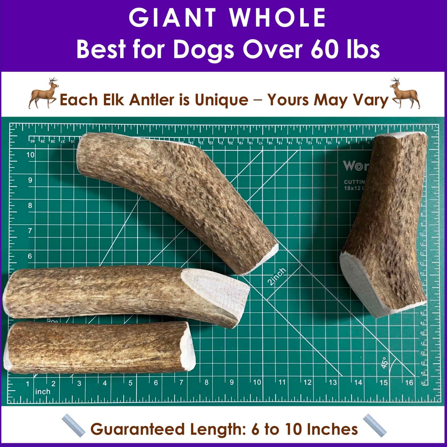 Deluxe Naturals Elk Antler Dog Chew - Giant Whole
