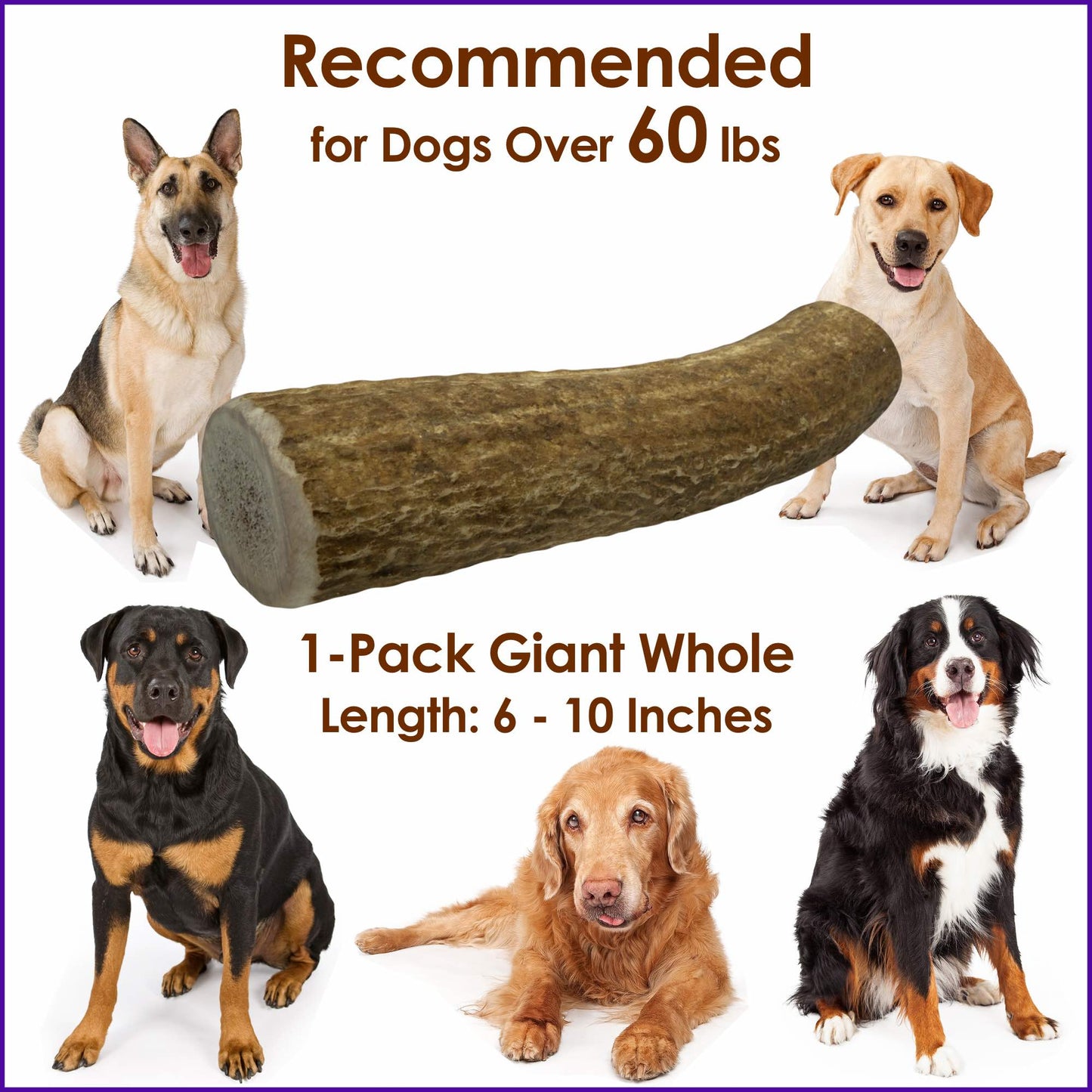 Deluxe Naturals Elk Antler Dog Chew - Giant Whole