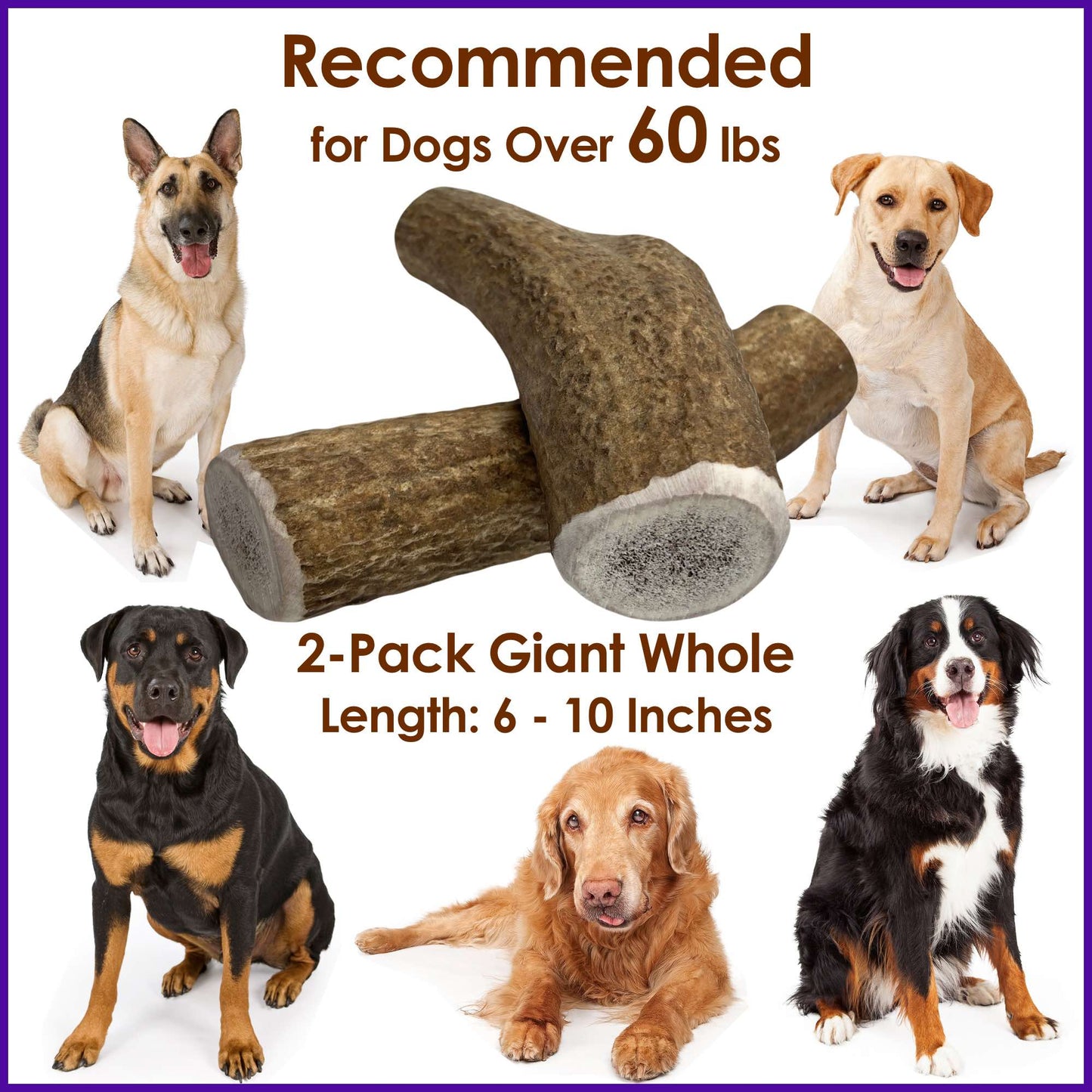 Deluxe Naturals 2-Pack Giant Whole Elk Antler Dog Chews