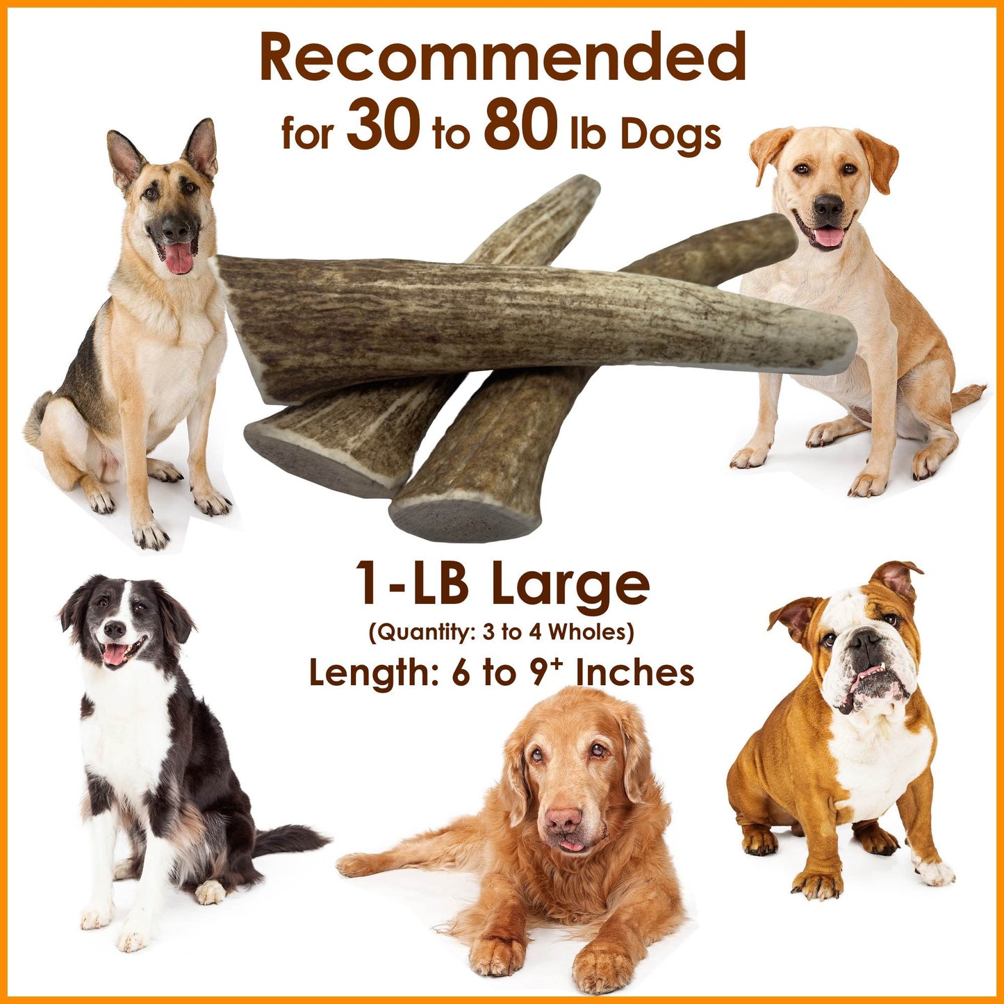 Deluxe Naturals 1-LB Pack Large Elk Antler Dog Chews