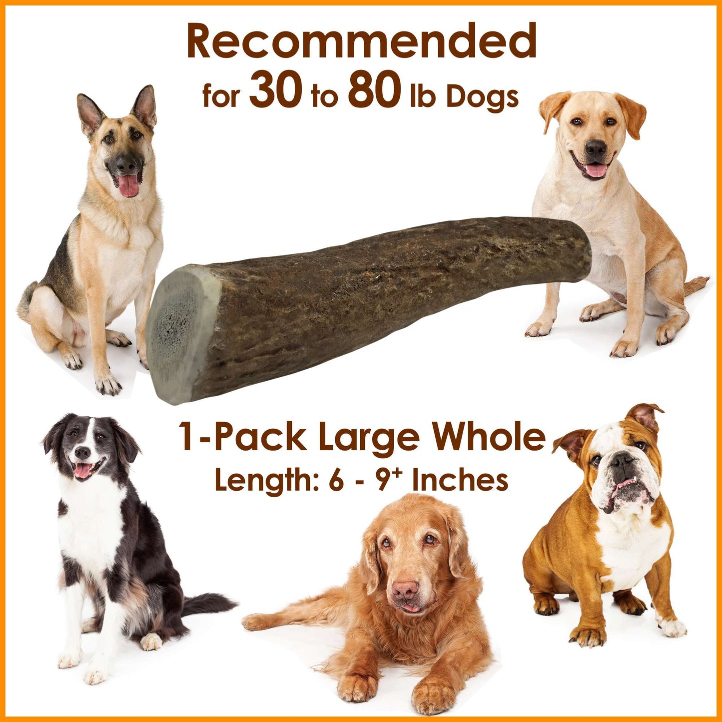Deluxe Naturals 1-Pack Large Whole Elk Antler Dog Chew