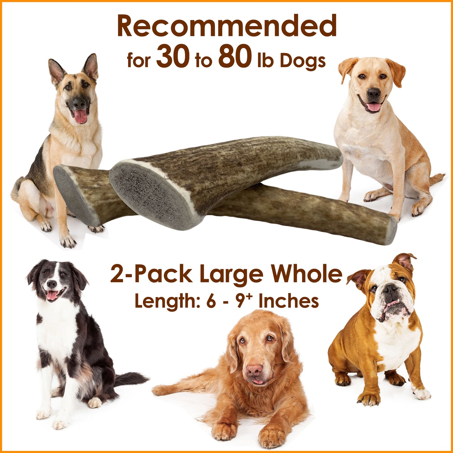 Deluxe Naturals 2-Pack Large Whole Elk Antler Dog Chews