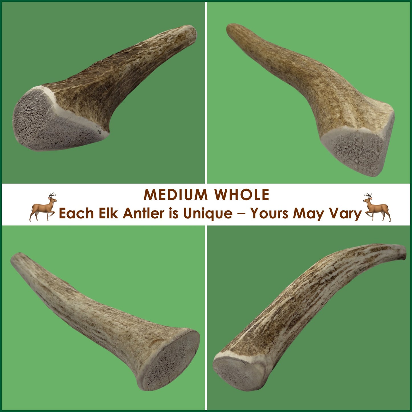 Deluxe Naturals 3-Pack Medium Whole Elk Antler Dog Chews