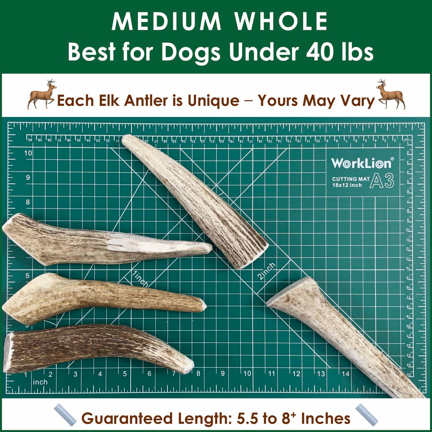 Deluxe Naturals 3-Pack Medium Whole Elk Antler Dog Chews