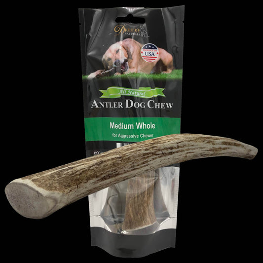 Deluxe Naturals 1-Pack Medium Whole Elk Antler Dog Chew