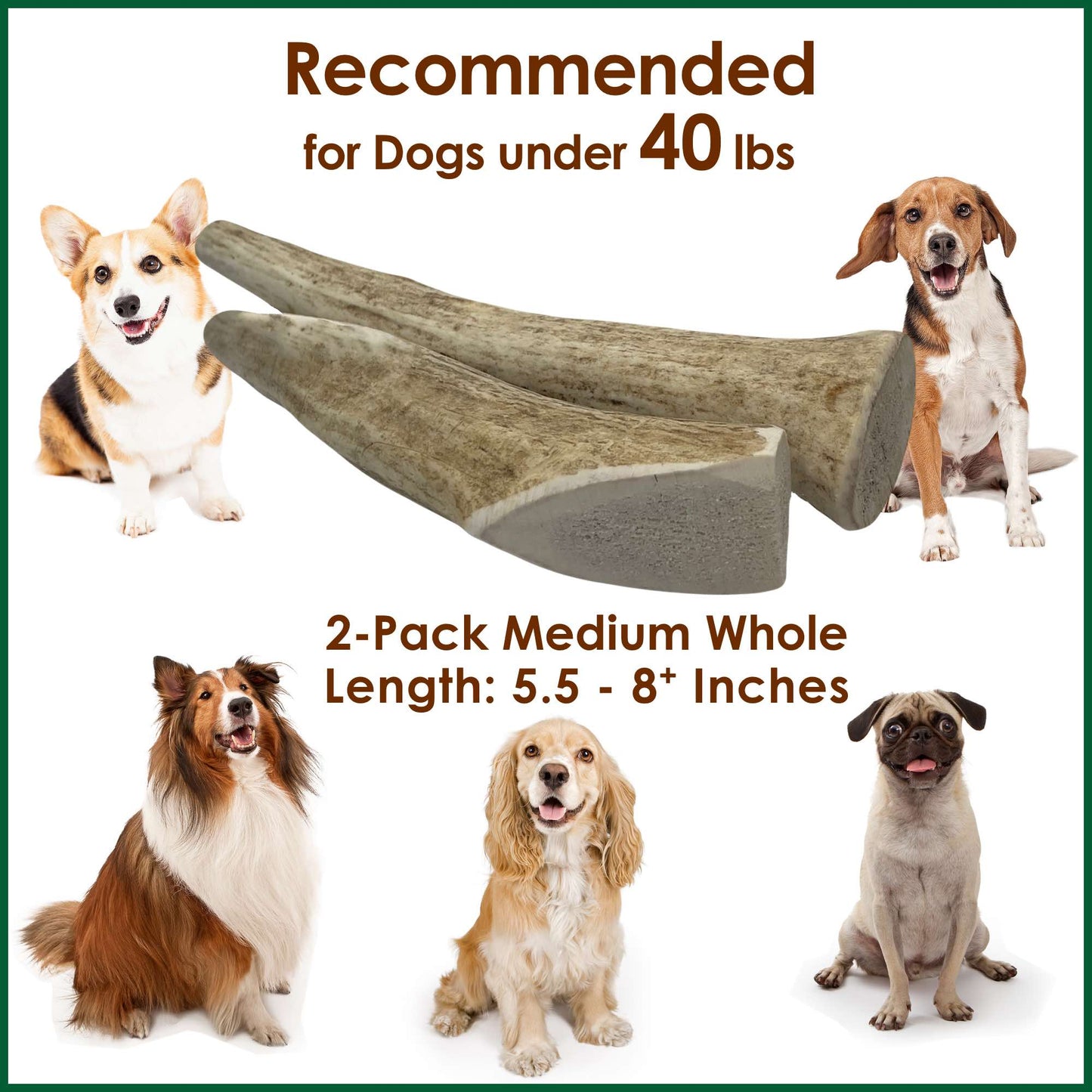 Deluxe Naturals 2-Pack Medium Whole Elk Antler Dog Chews