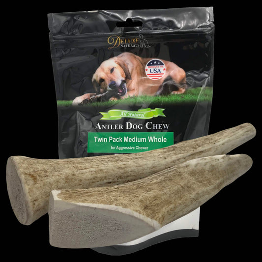Deluxe Naturals 2-Pack Medium Whole Elk Antler Dog Chews