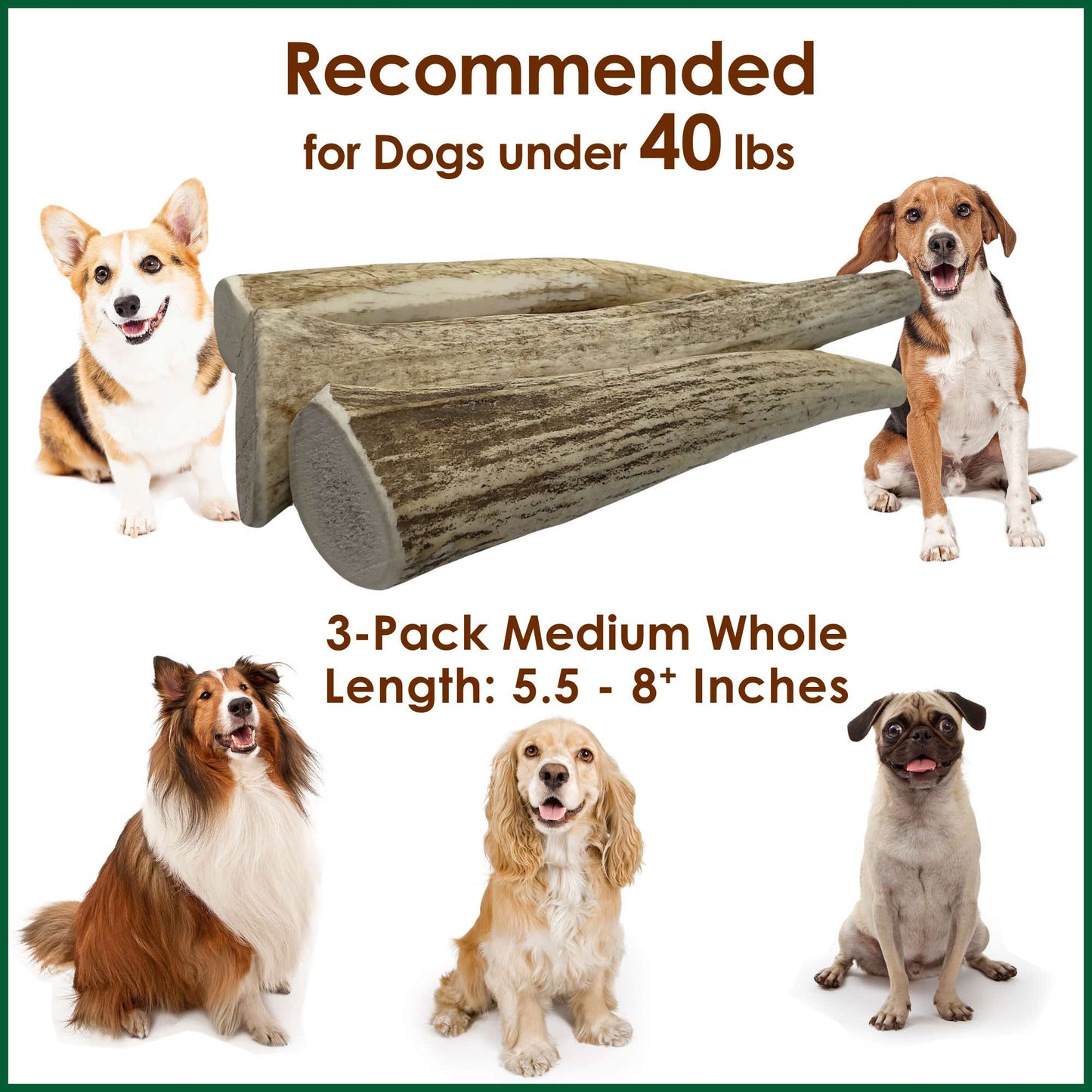 Deluxe Naturals 3-Pack Medium Whole Elk Antler Dog Chews