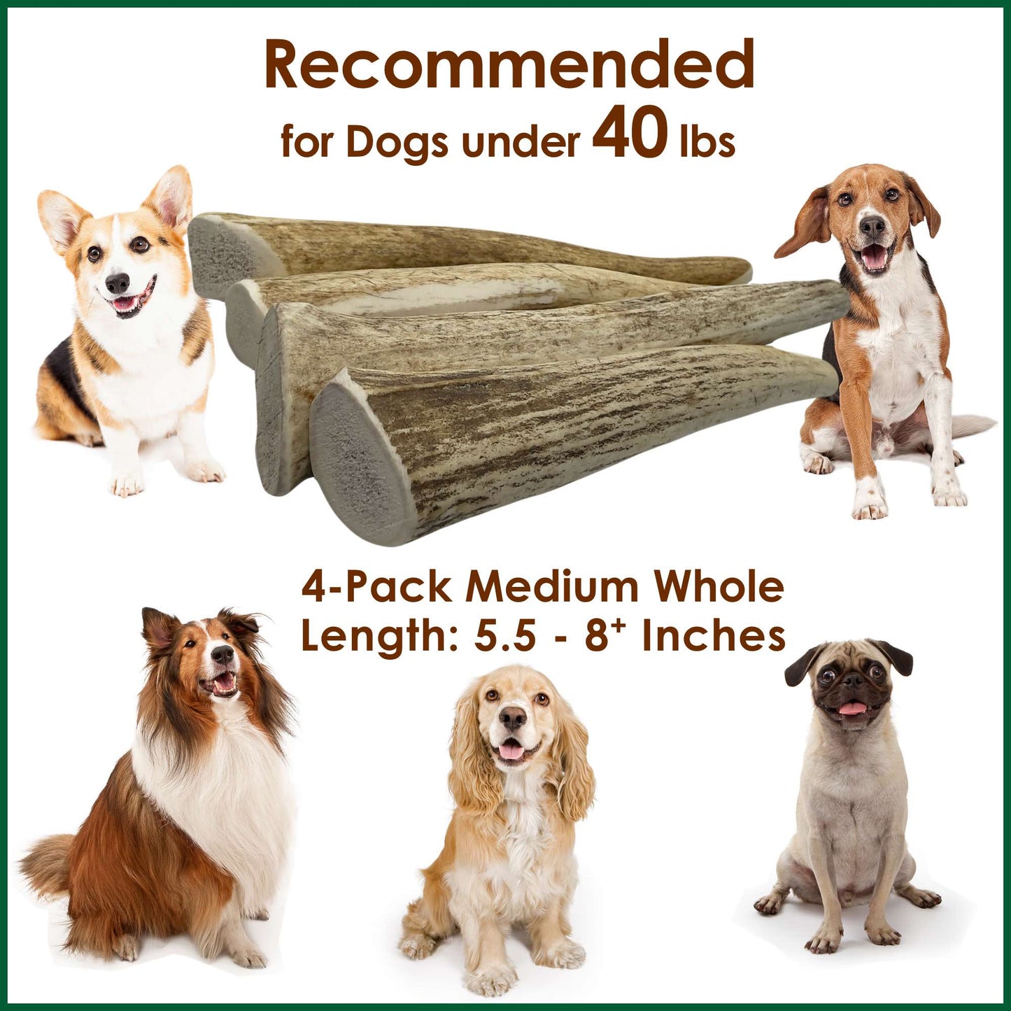 Deluxe Naturals 4-Pack Medium Whole Elk Antler Dog Chews