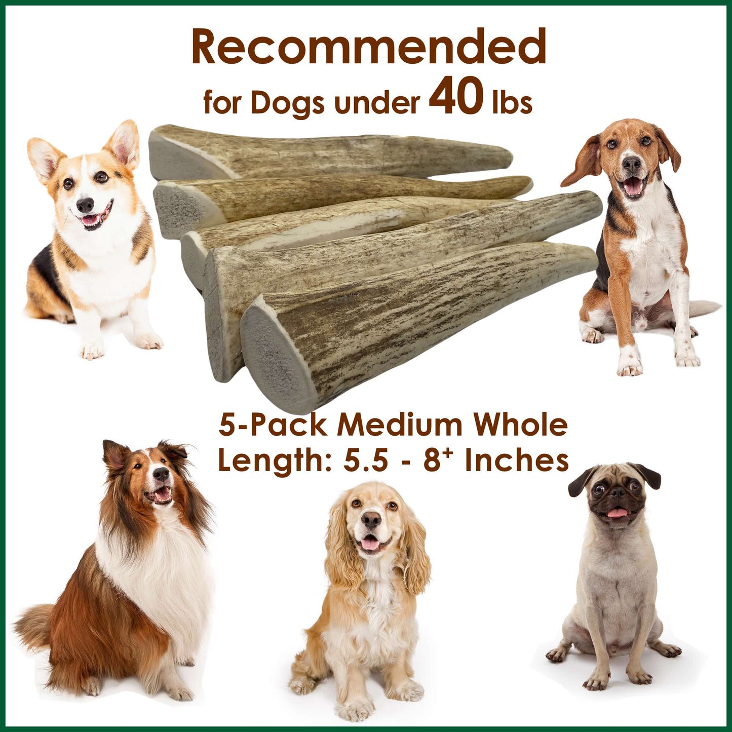 Deluxe Naturals 5-Pack Medium Whole Elk Antler Dog Chews