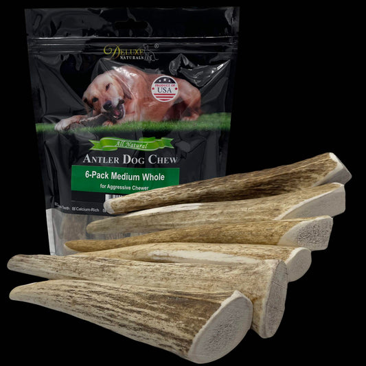 Deluxe Naturals 6-Pack Medium Whole Elk Antler Dog Chews
