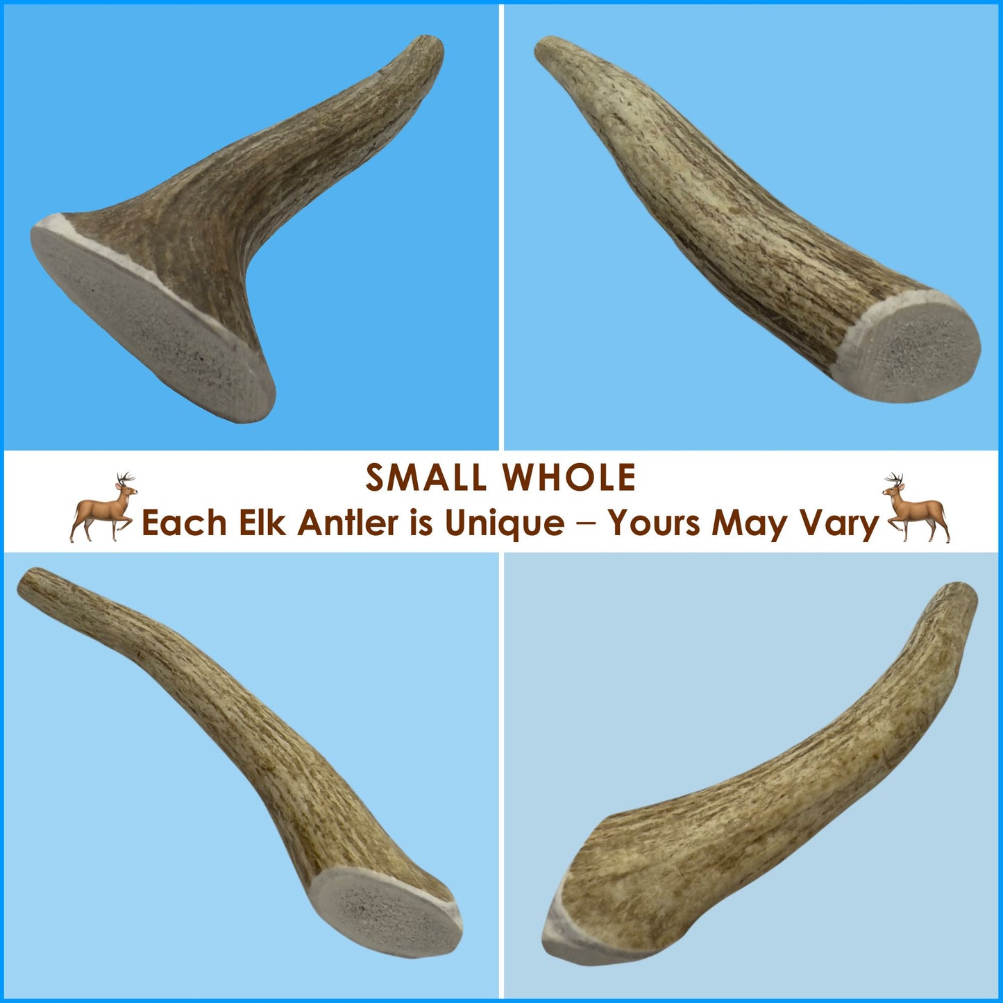 Deluxe Naturals 1-Pack Small Whole Elk Antler Dog Chew