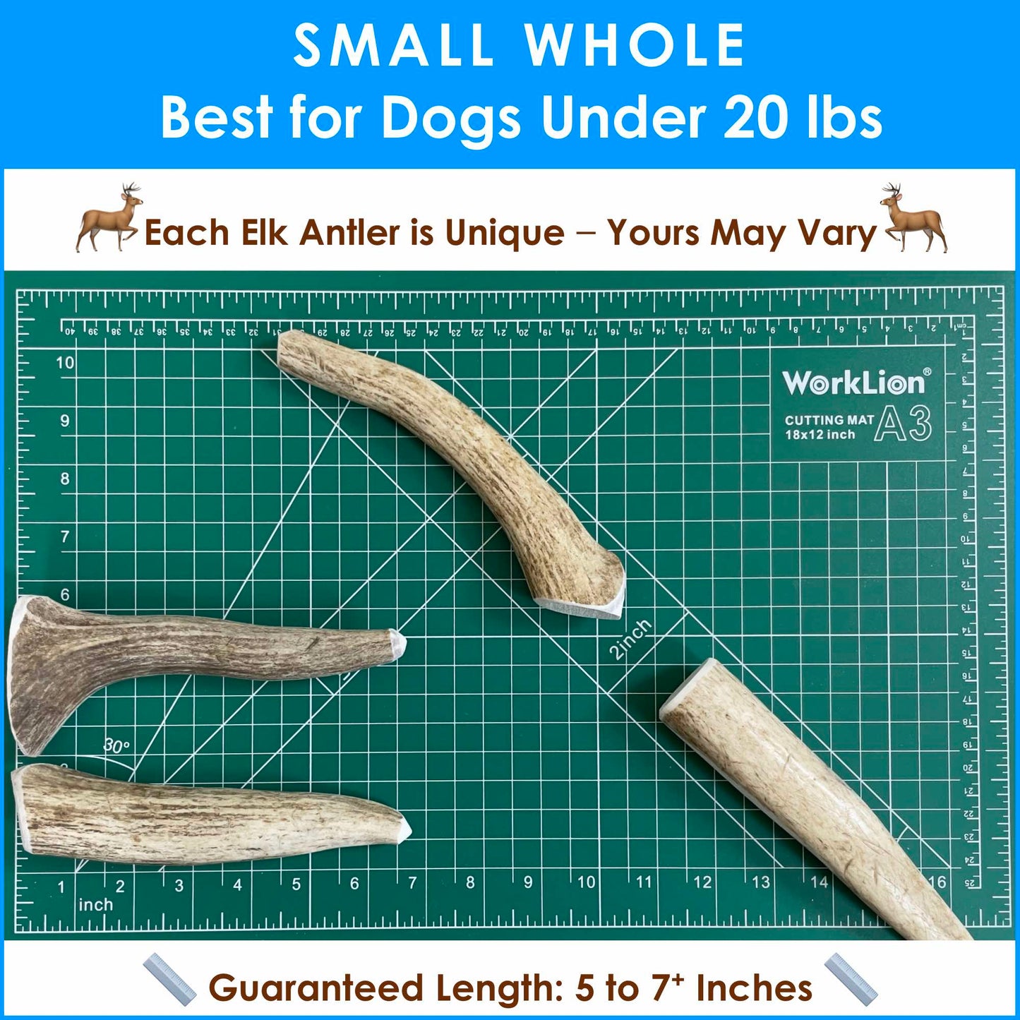 Deluxe Naturals 1-Pack Small Whole Elk Antler Dog Chew