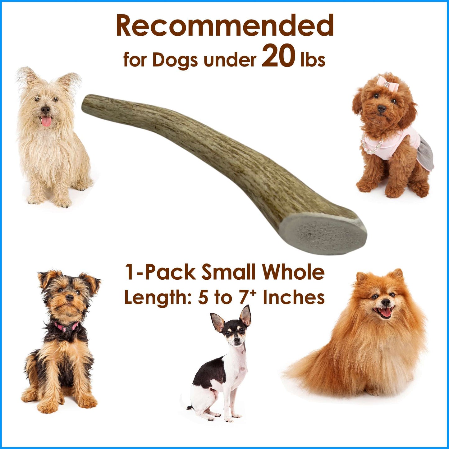 Deluxe Naturals 1-Pack Small Whole Elk Antler Dog Chew