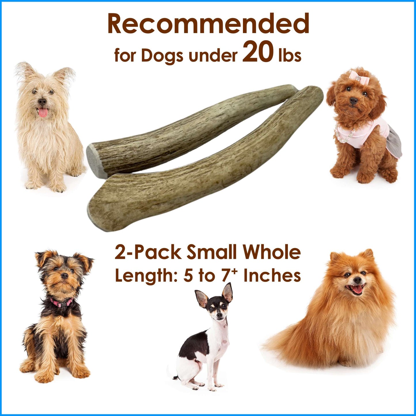Deluxe Naturals 2-Pack Small Whole Elk Antler Dog Chews