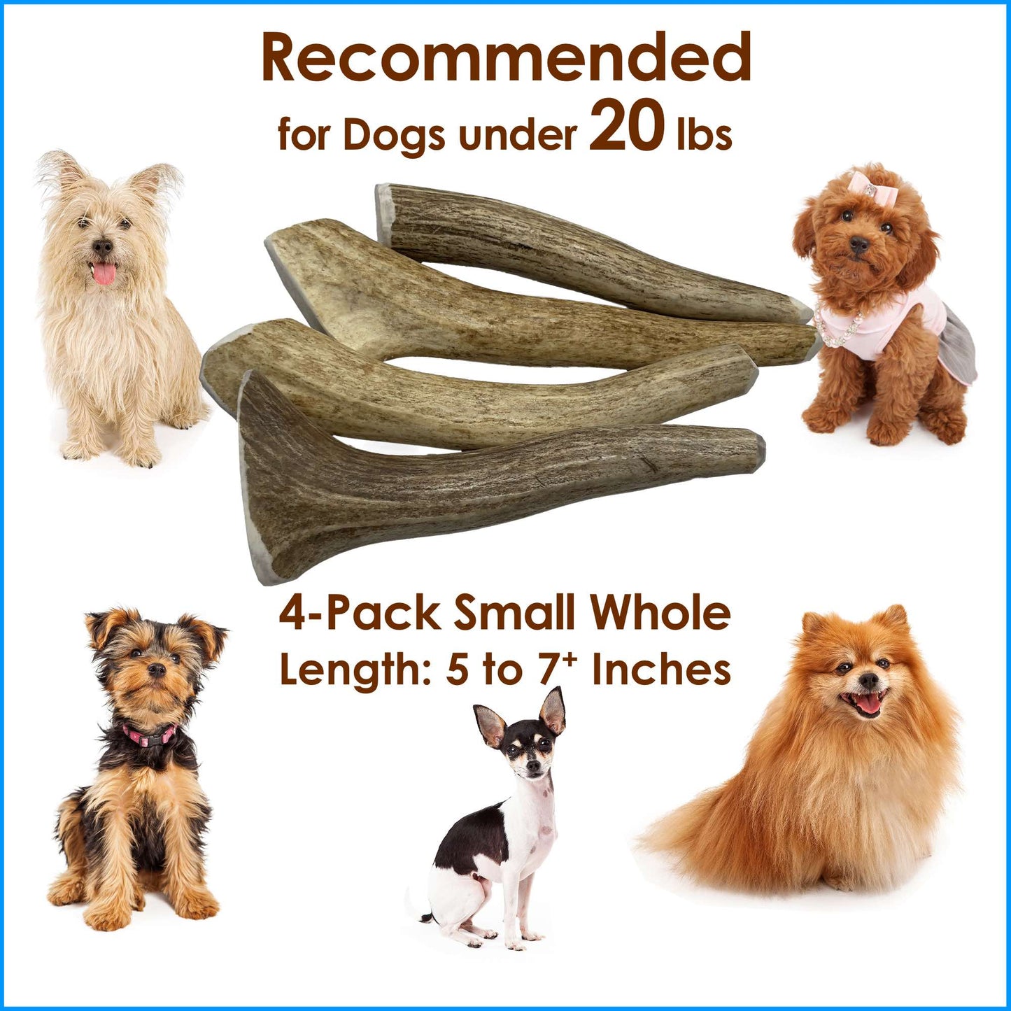 Deluxe Naturals 4-Pack Small Whole Elk Antler Dog Chews