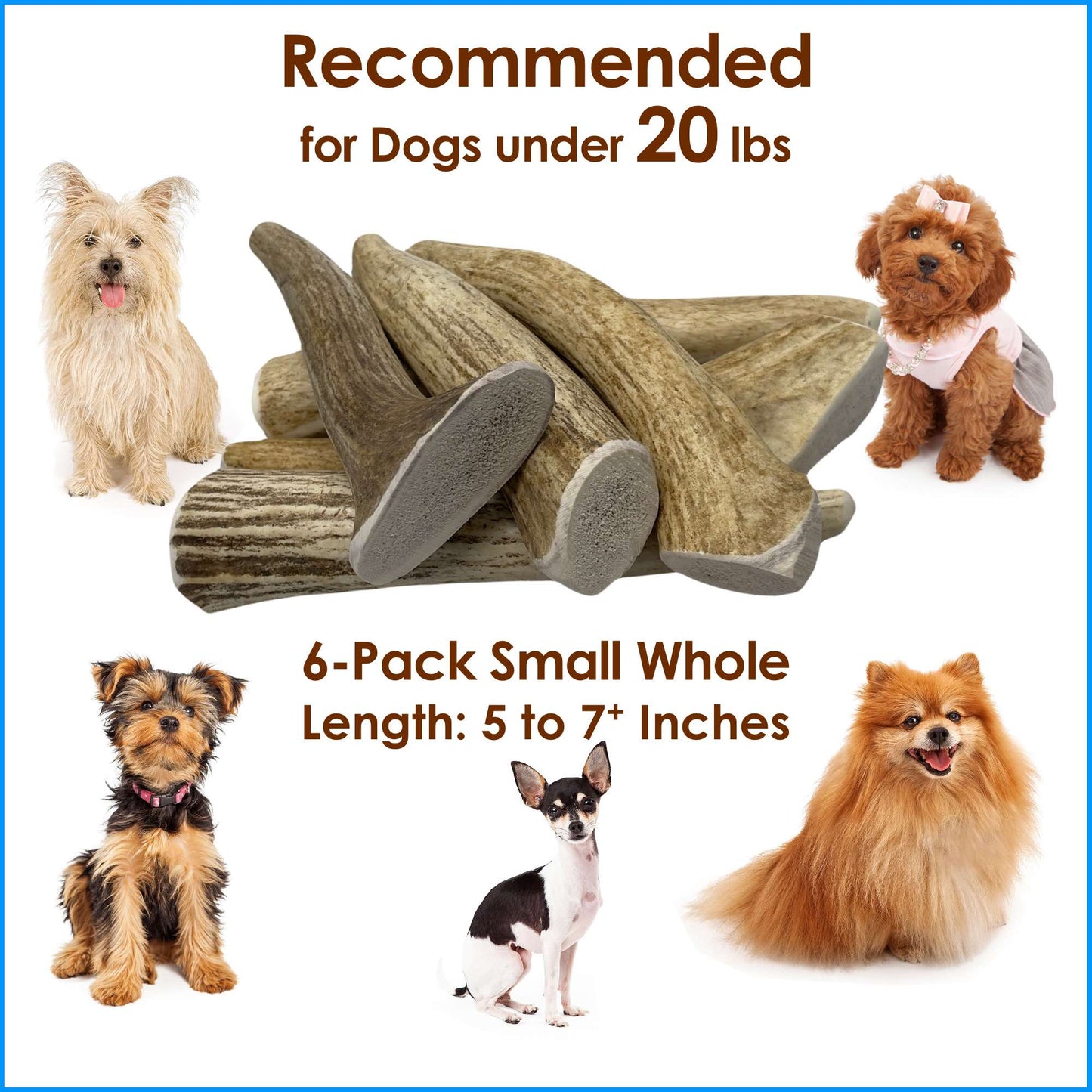 Deluxe Naturals 6-Pack Small Whole Elk Antler Dog Chews