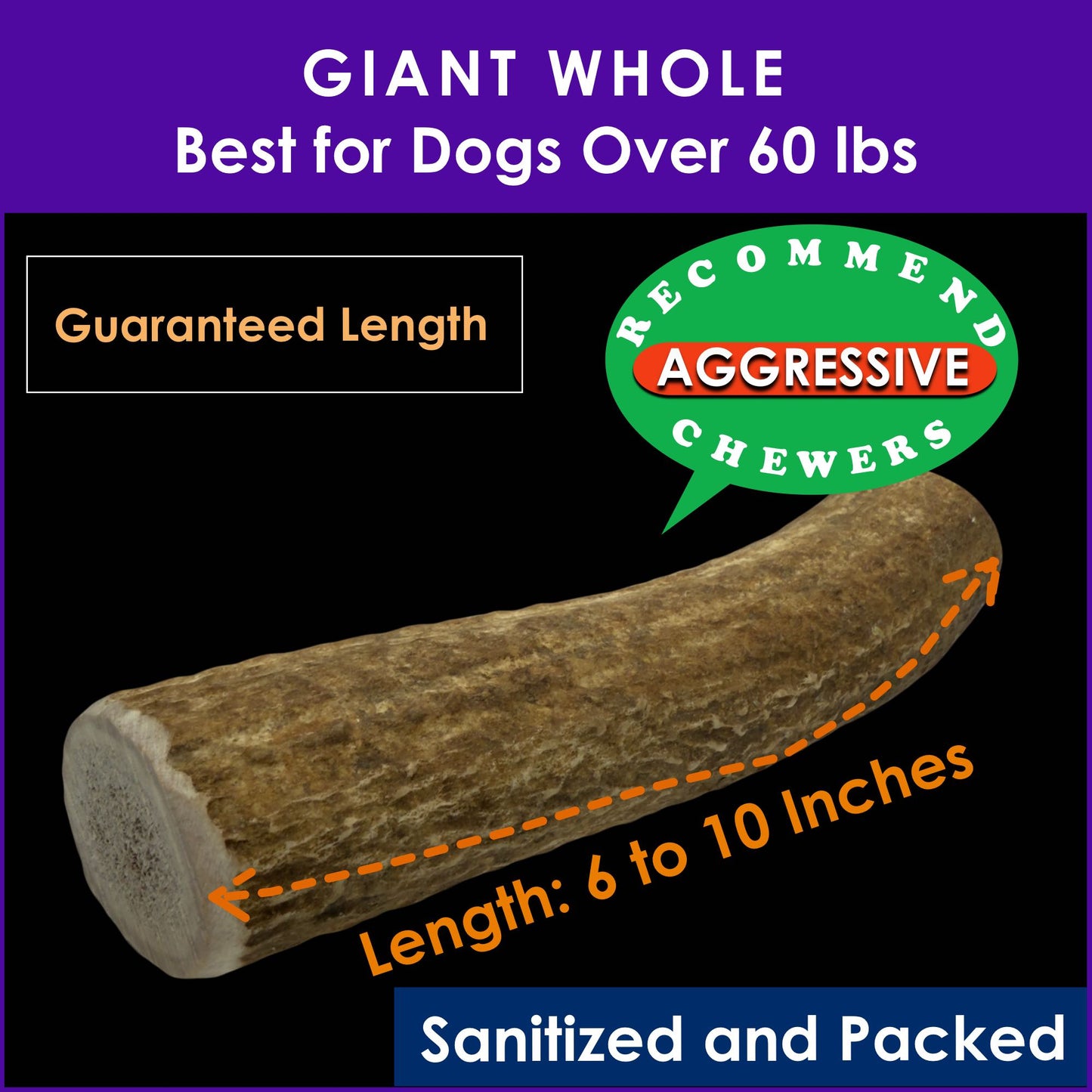 Deluxe Naturals Elk Antler Dog Chew - Giant Whole