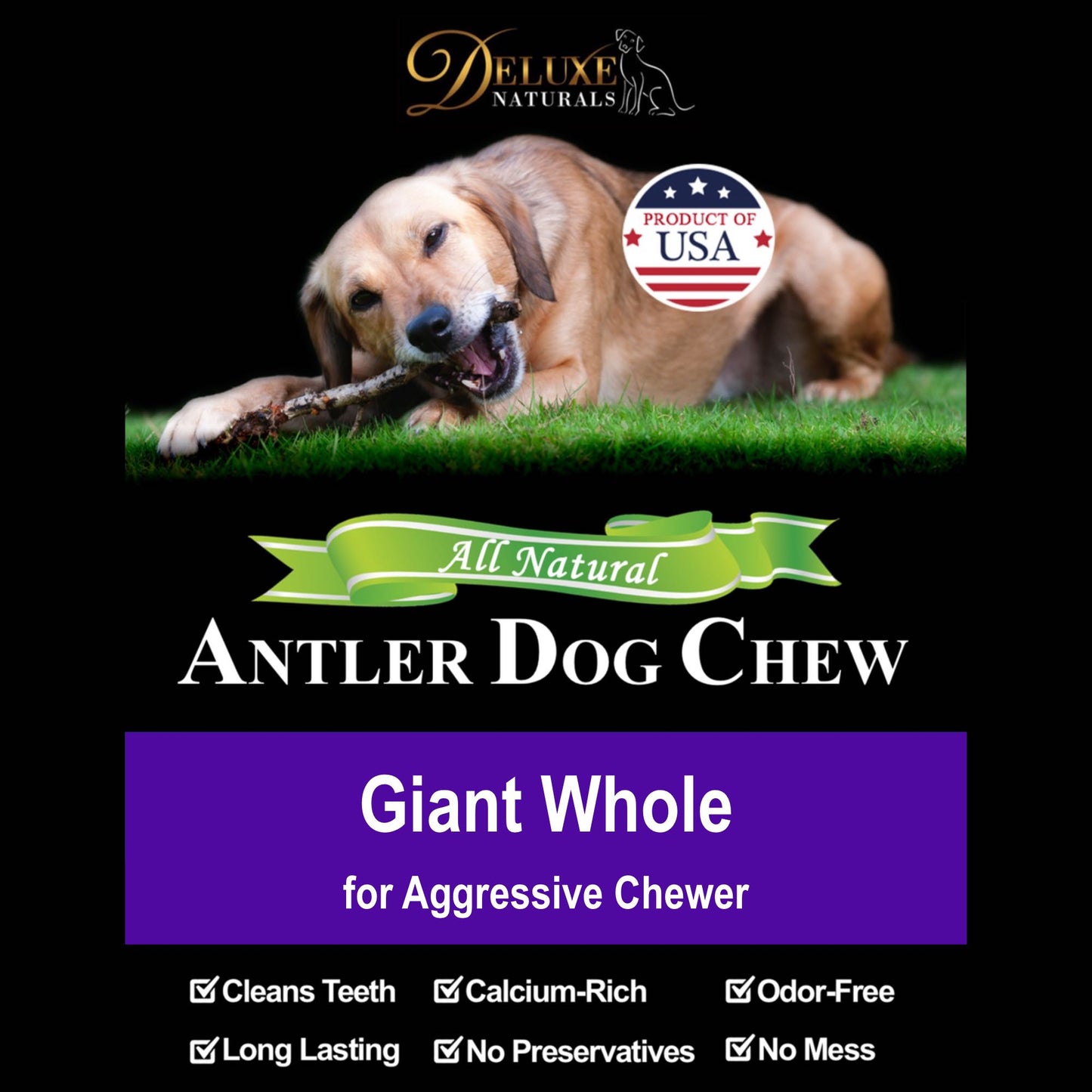 Deluxe Naturals Elk Antler Dog Chew - Giant Whole