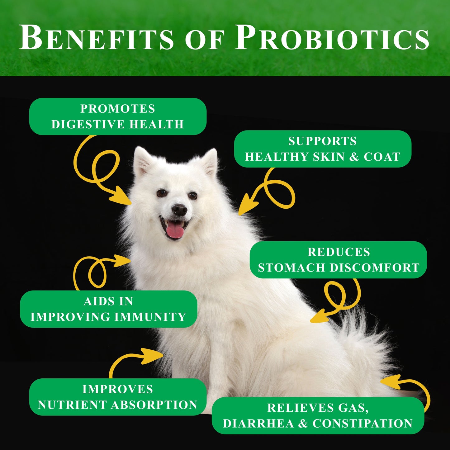 Deluxe Naturals Probiotic Soft Chews for Dogs - 270 Count (Pack of 3 x 90ct)