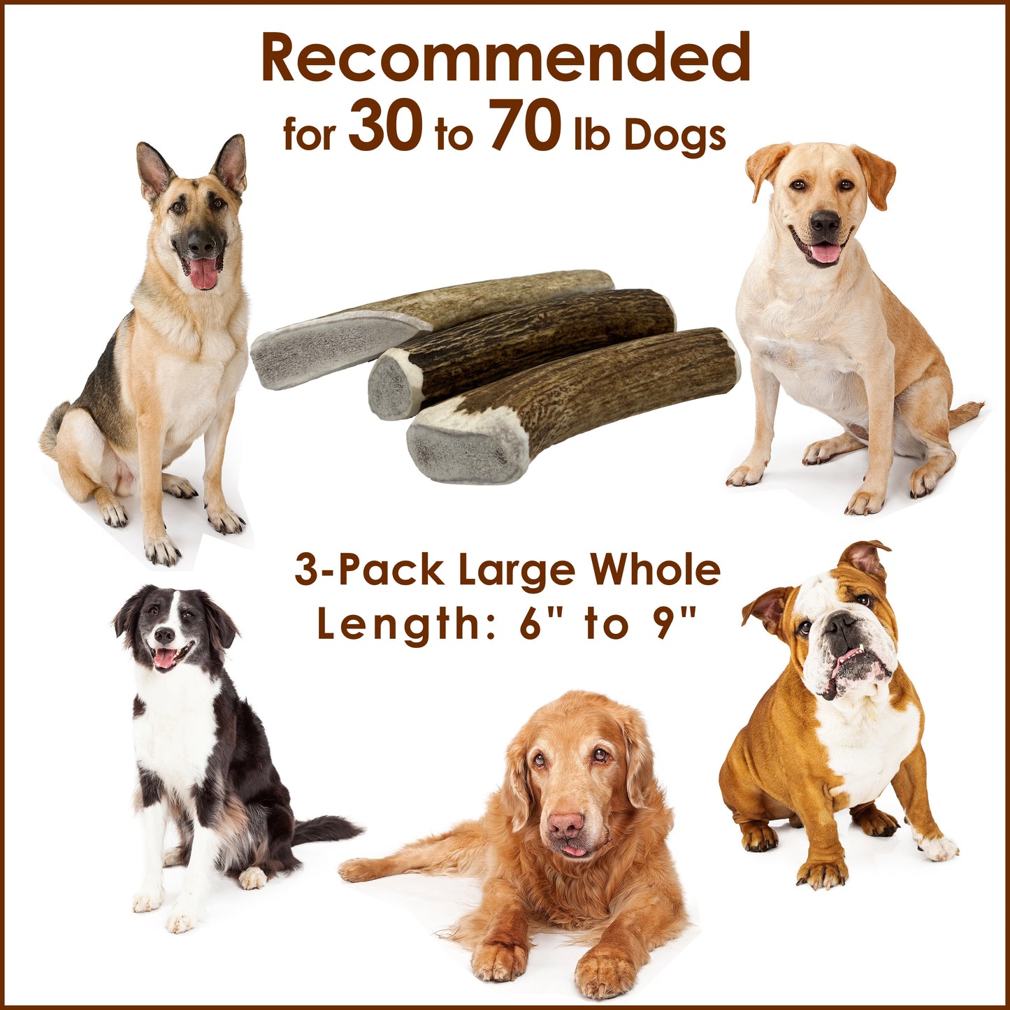 Deluxe Naturals 3-Pack Elk Antler Dog Chew - Large Whole