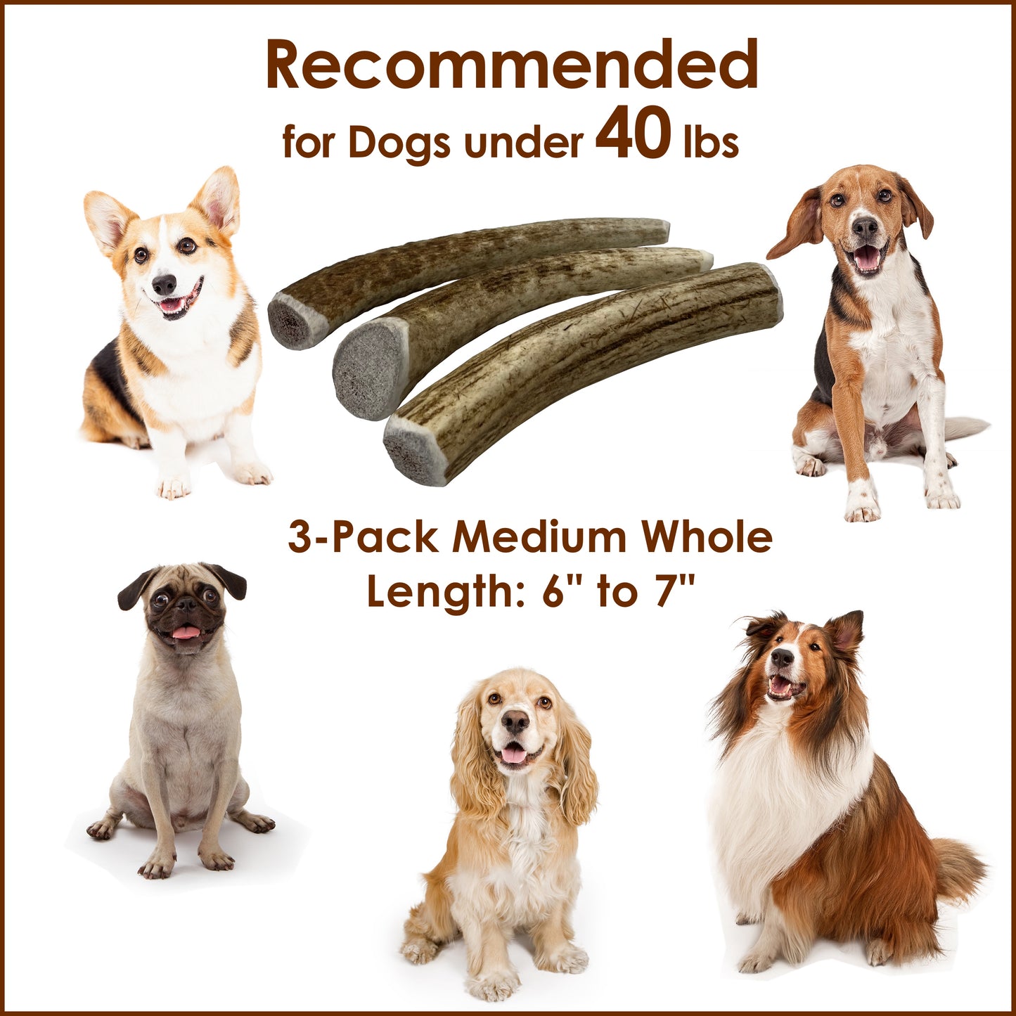 Deluxe Naturals 3-Pack Elk Antler Dog Chew - Medium Whole