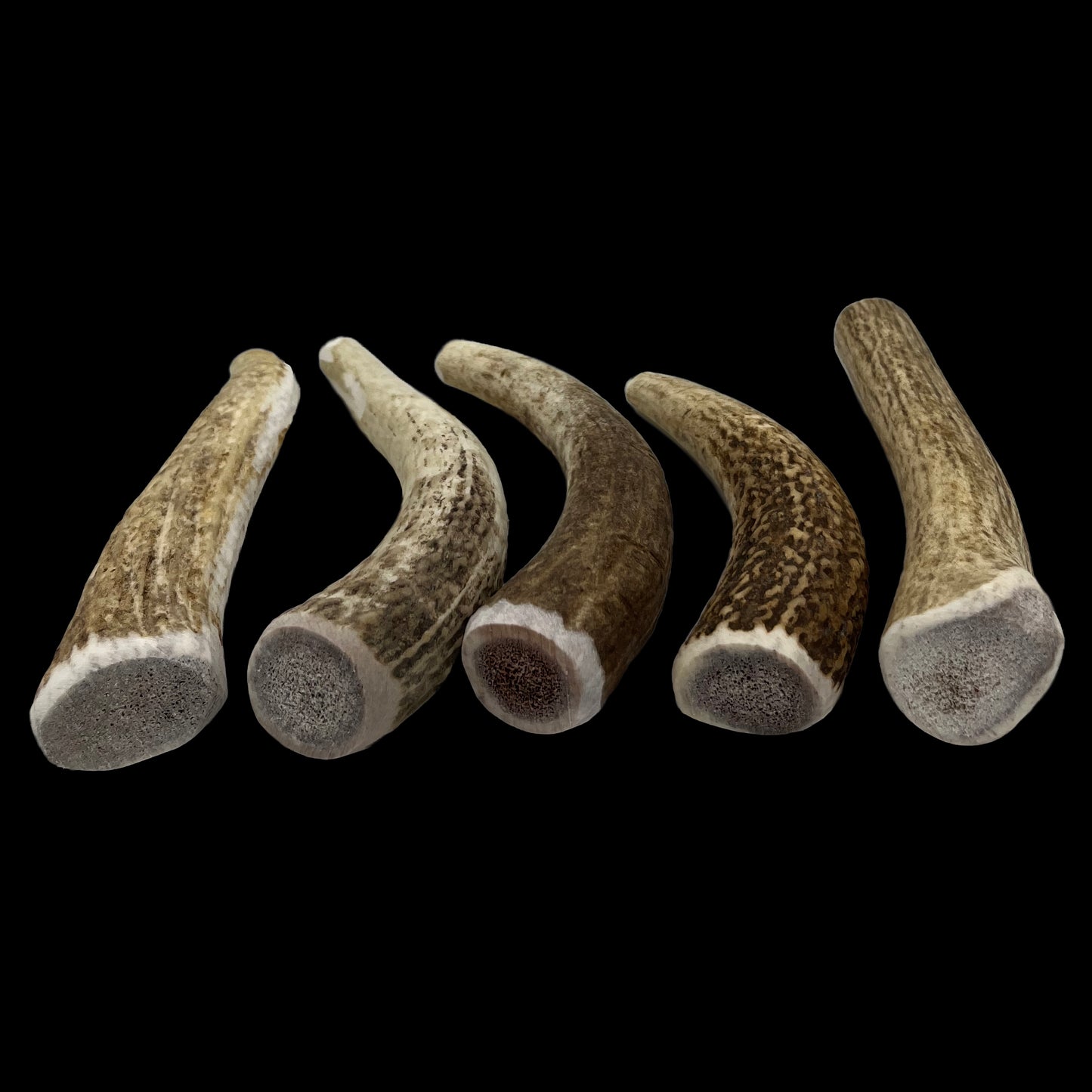 Deluxe Naturals 5-Pack Elk Antler Dog Chew - Medium Whole