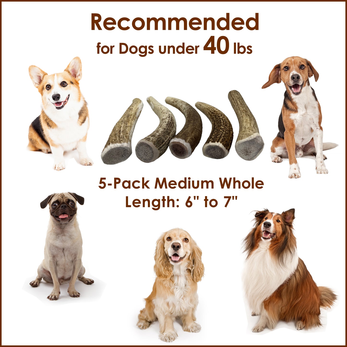 Deluxe Naturals 5-Pack Elk Antler Dog Chew - Medium Whole