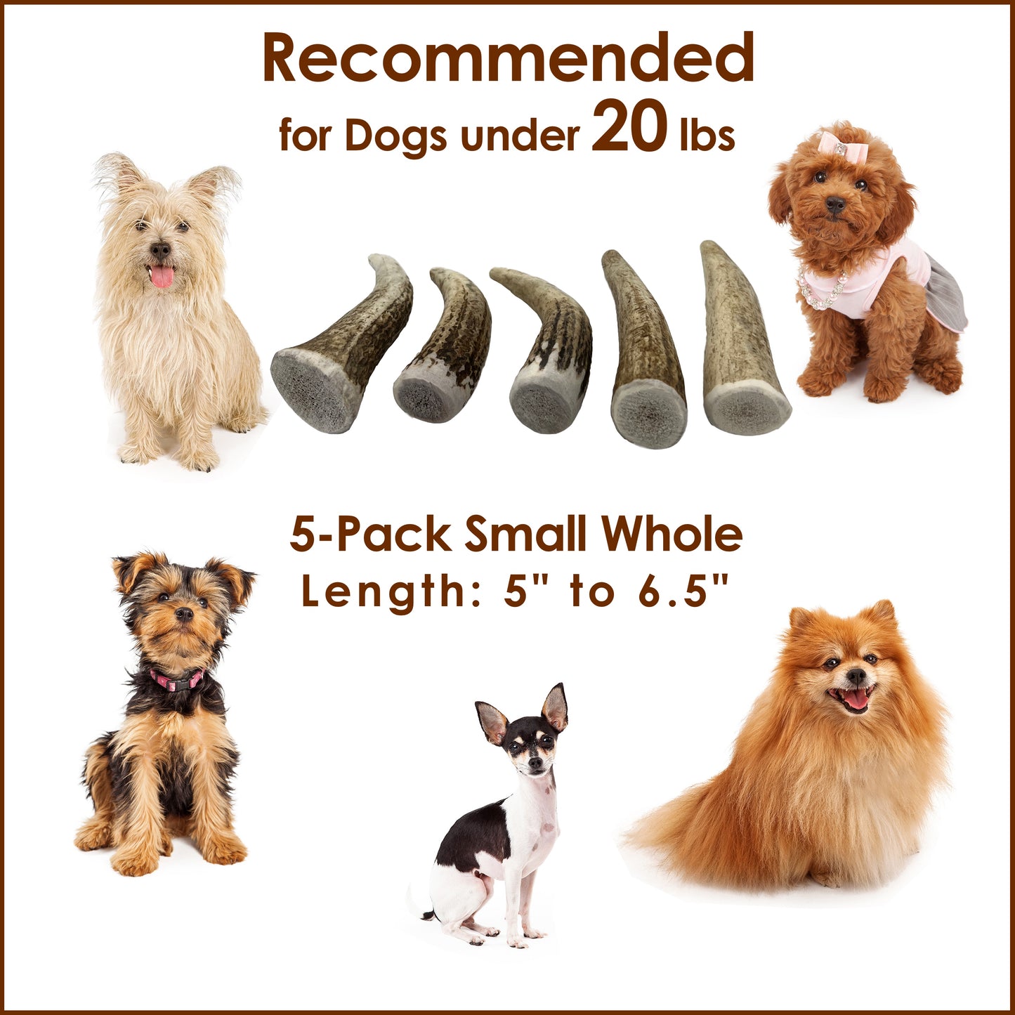 Deluxe Naturals 5-Pack Elk Antler Dog Chew - Small Whole