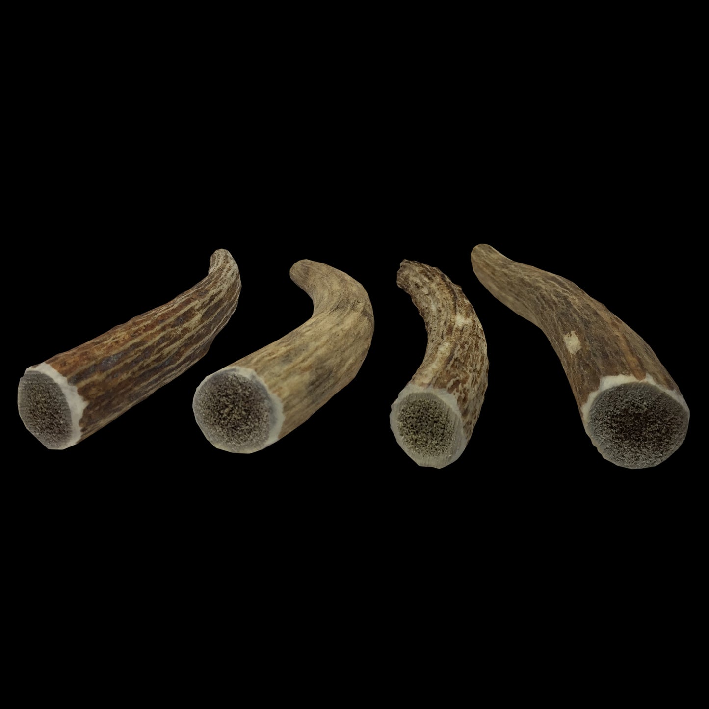 Deluxe Naturals 4-Pack Elk Antler Dog Chew - Medium Whole