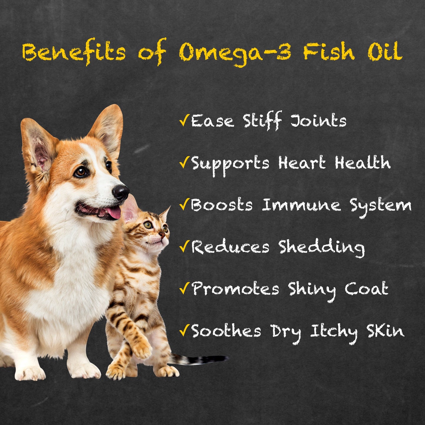 Deluxe Naturals Omega-3 Fish Oil for Dogs and Cats - 16 fl. oz.