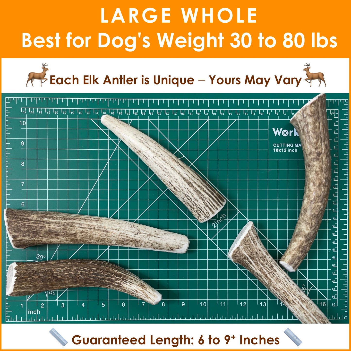 Deluxe Naturals 1-LB Pack Large Elk Antler Dog Chews
