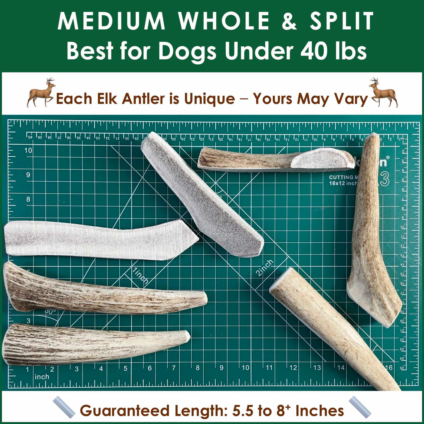 Deluxe Naturals 1-LB Pack Medium Elk Antler Dog Chews