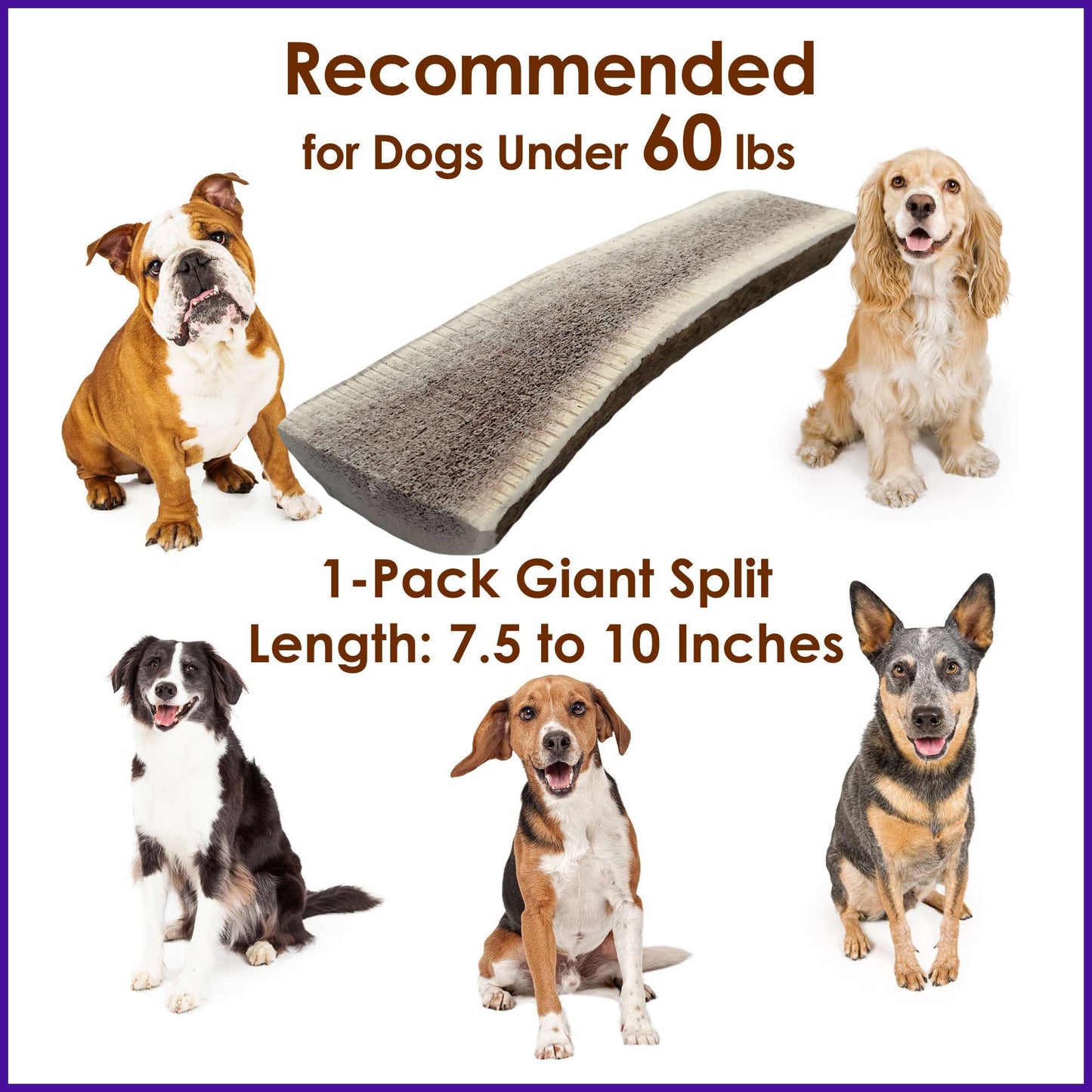 Deluxe Naturals 1-Pack Giant Split Elk Antler Dog Chew