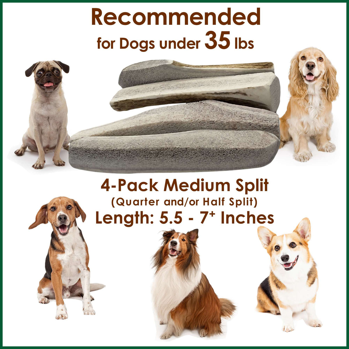 Medium Elk Antler Dog Chews - 4 Pack, Natural & Long-Lasting
