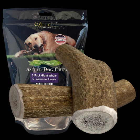 Deluxe Naturals 2-Pack Giant Whole Elk Antler Dog Chews