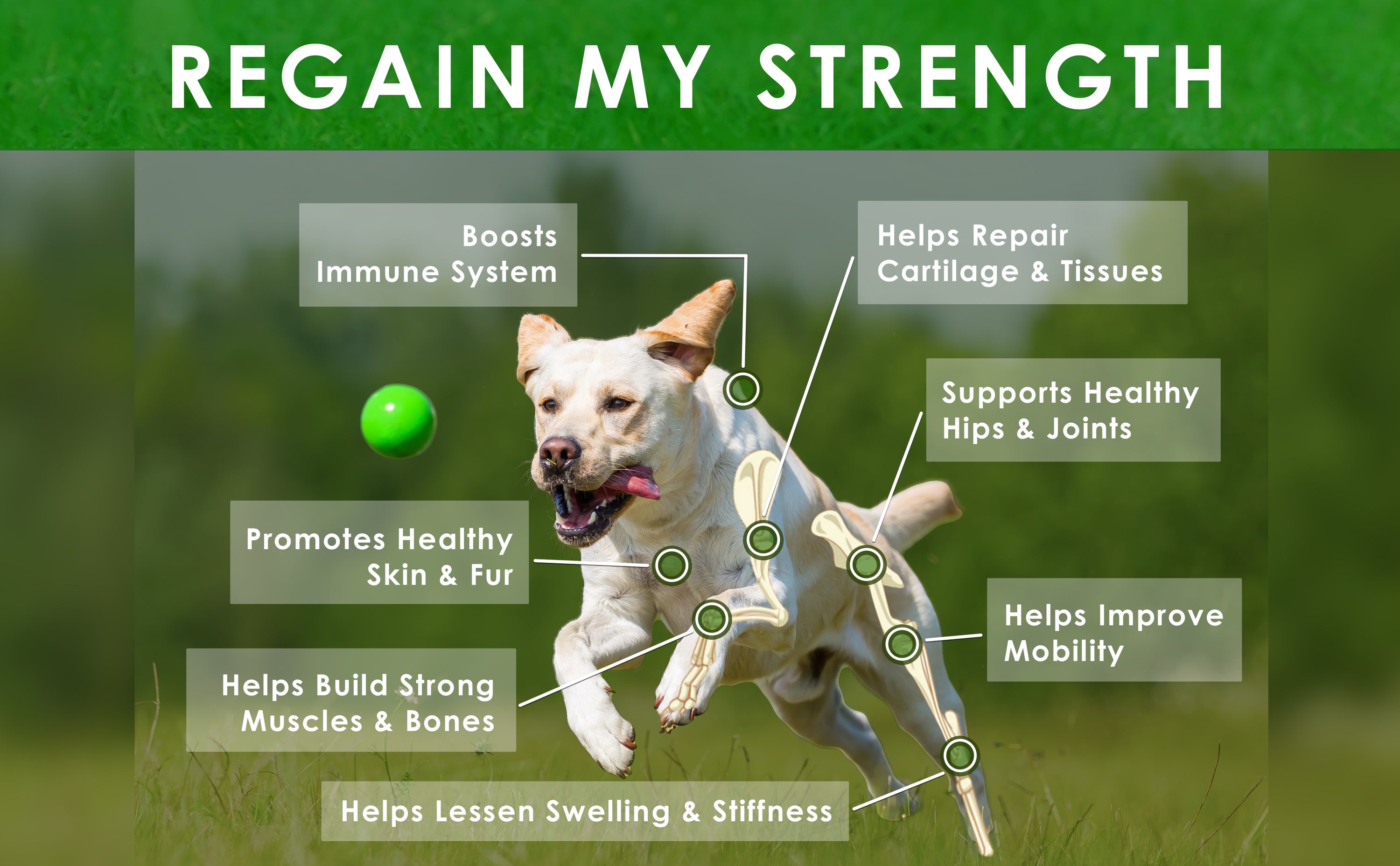 Deluxe Naturals Joint Supplement for Dogs