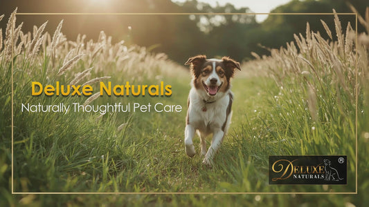 Deluxe Naturals Hip and Joint Soft Chews for Dogs - 90 Count (Pack of 1)