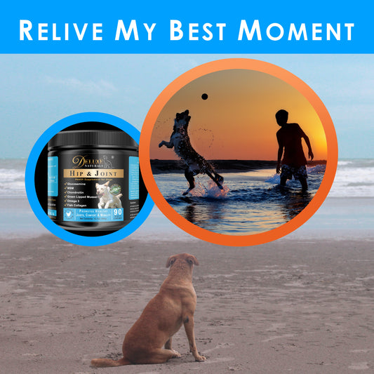 Deluxe Naturals Hip and Joint Soft Chews for Dogs