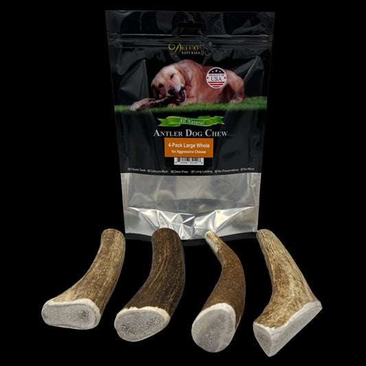 Deluxe Naturals 4-Pack Elk Antler Dog Chew - Large Whole