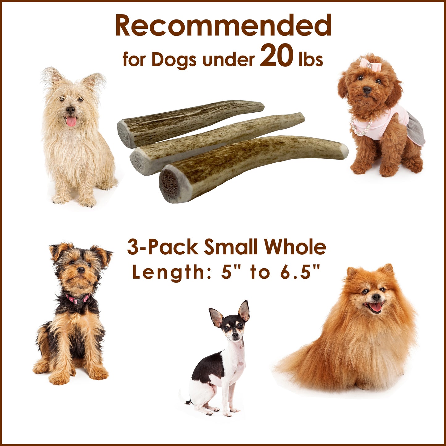 Deluxe Naturals 3-Pack Elk Antler Dog Chew - Small Whole
