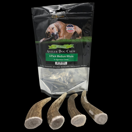 Deluxe Naturals 4-Pack Elk Antler Dog Chew - Medium Whole