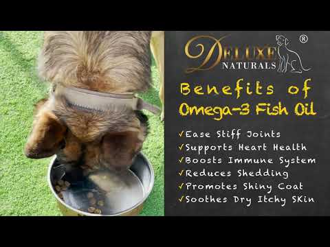 Deluxe Naturals Omega 3 Fish Oil for Dogs and Cats 16 fl. oz