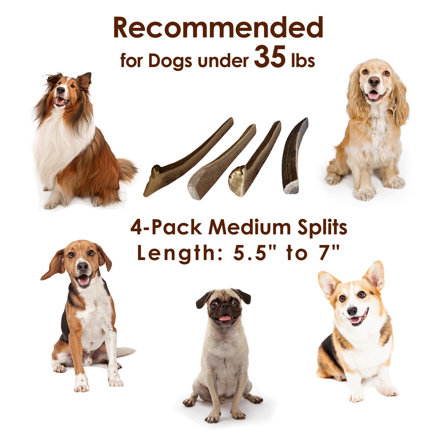 Deluxe Naturals 4-Pack Elk Antler Dog Chew - Medium Split