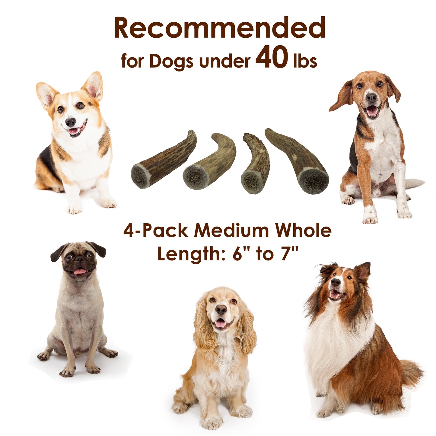 Deluxe Naturals 4-Pack Elk Antler Dog Chew - Medium Whole