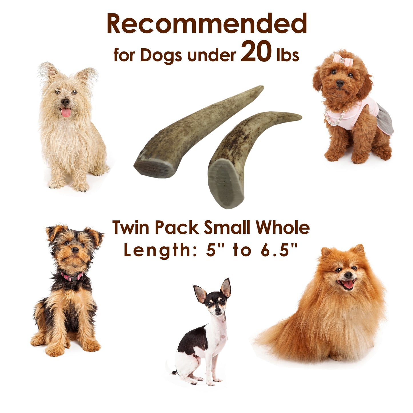 Deluxe Naturals Twin Pack Elk Antler Dog Chew - Small Whole